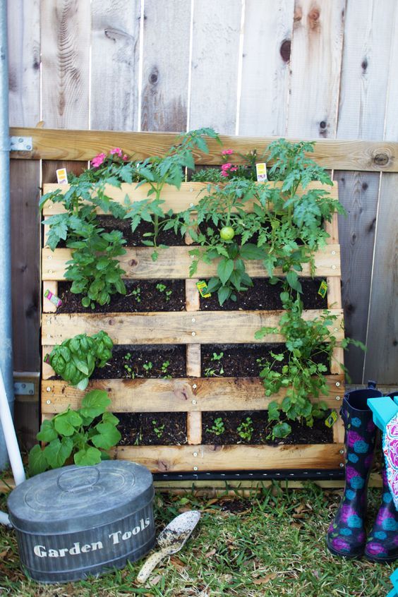 vertical pallet planter for upcycled garden