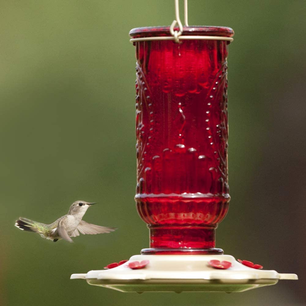 vintage hummingbird feeder
